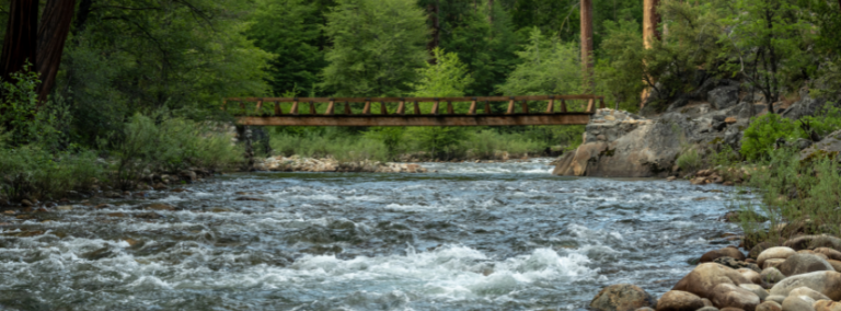 A fast-moving river running through woodland, with a footbridge upstream