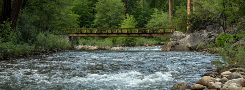 A fast-moving river running through woodland, with a footbridge upstream