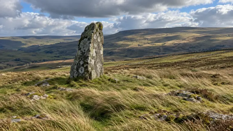 A lichen-covered standing stone in windblown upland grass under moving cloud